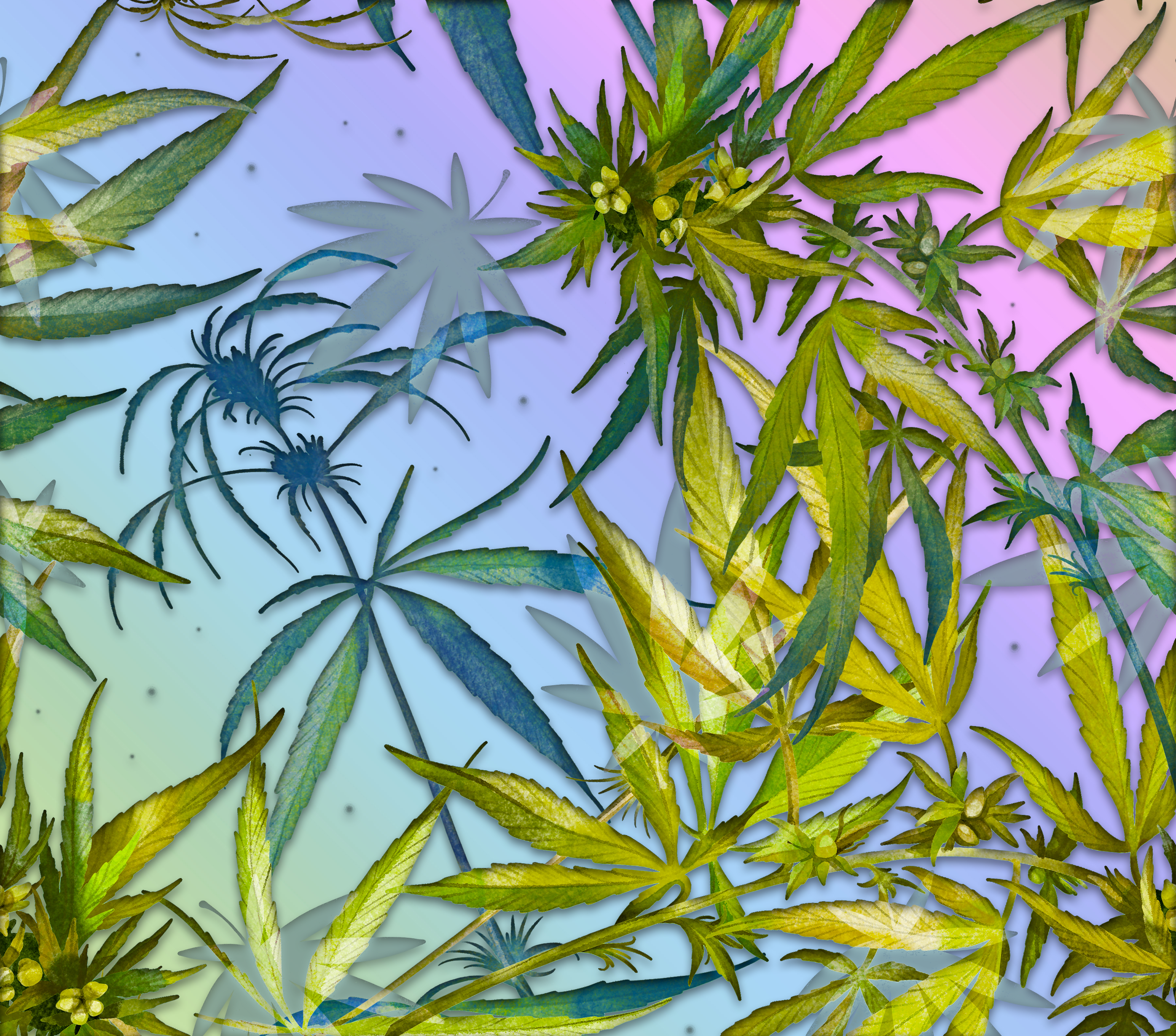 420 Life